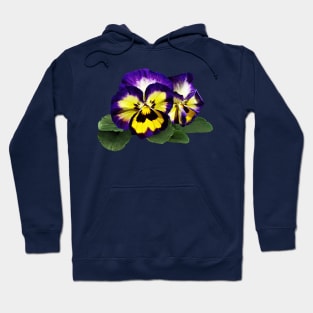 Yellow Purple and White Pansies Hoodie